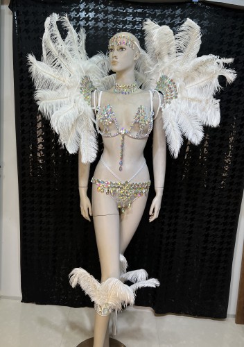 Top Quality Handmade Samba Rio Carnival Wire Bra+Panty+Feather Headdress With Stone Sexy Belly Dancing Costume CF003