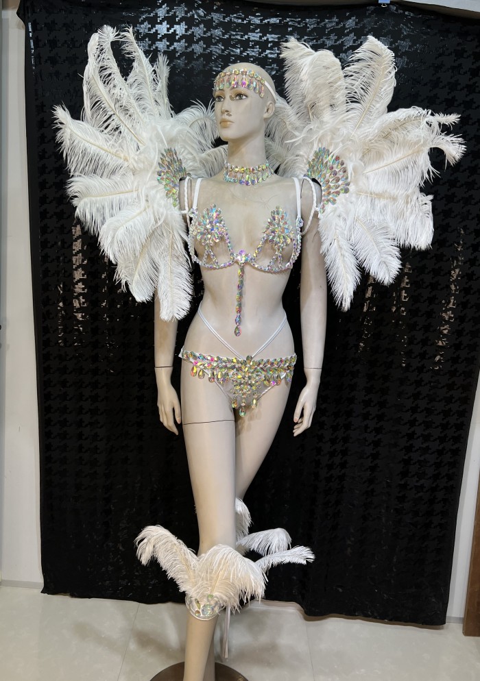 Top Quality Handmade Samba Rio Carnival Wire Bra+Panty+Feather Headdress With Stone Sexy Belly Dancing Costume CF002-5