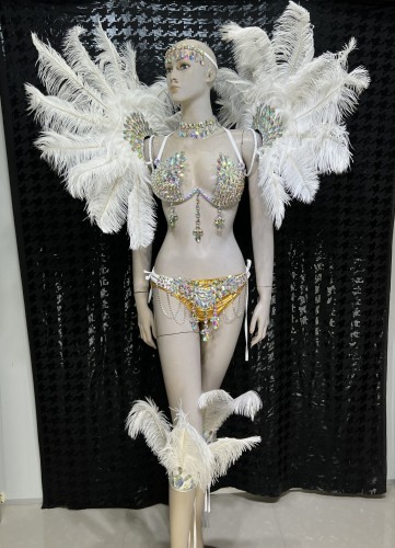 Top Quality Handmade Samba Rio Carnival Wire Bra+Panty+Feather Headdress With Stone Sexy Belly Dancing Costume CF004