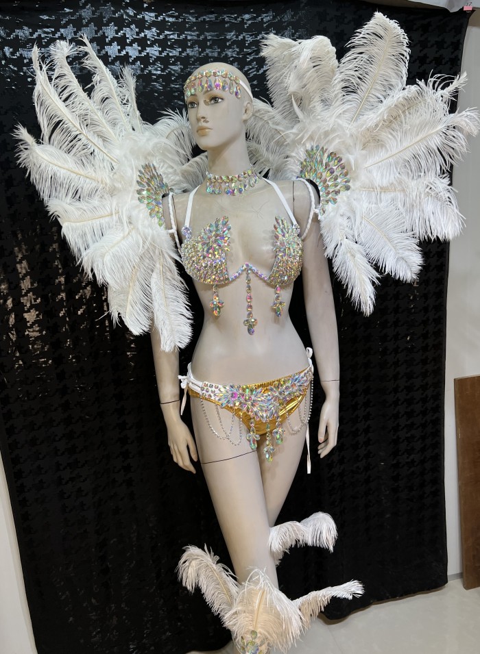 Top Quality Handmade Samba Rio Carnival Wire Bra+Panty+Feather Headdress With Stone Sexy Belly Dancing Costume CF002-3