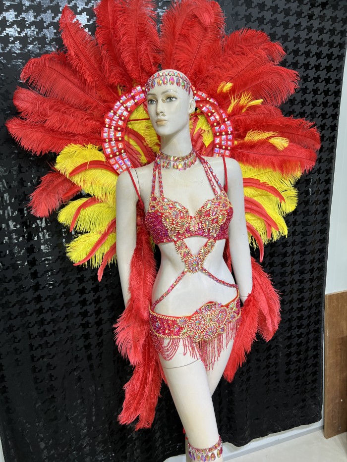 Hot sale Women's beaded Crystal belly dance costume wear sexy bellydancing costumes bellydance clothes with feather