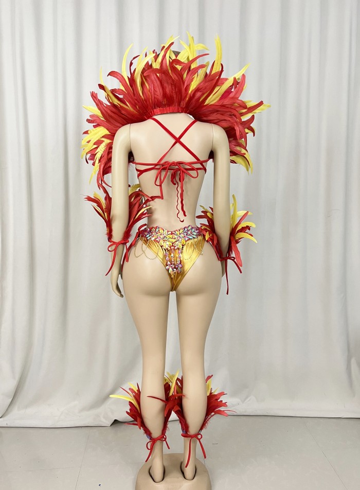 Top Quality Handmade Samba Rio Carnival Wire Bra+Belt+feather shawl With Stone Sexy Belly Dancing Costume