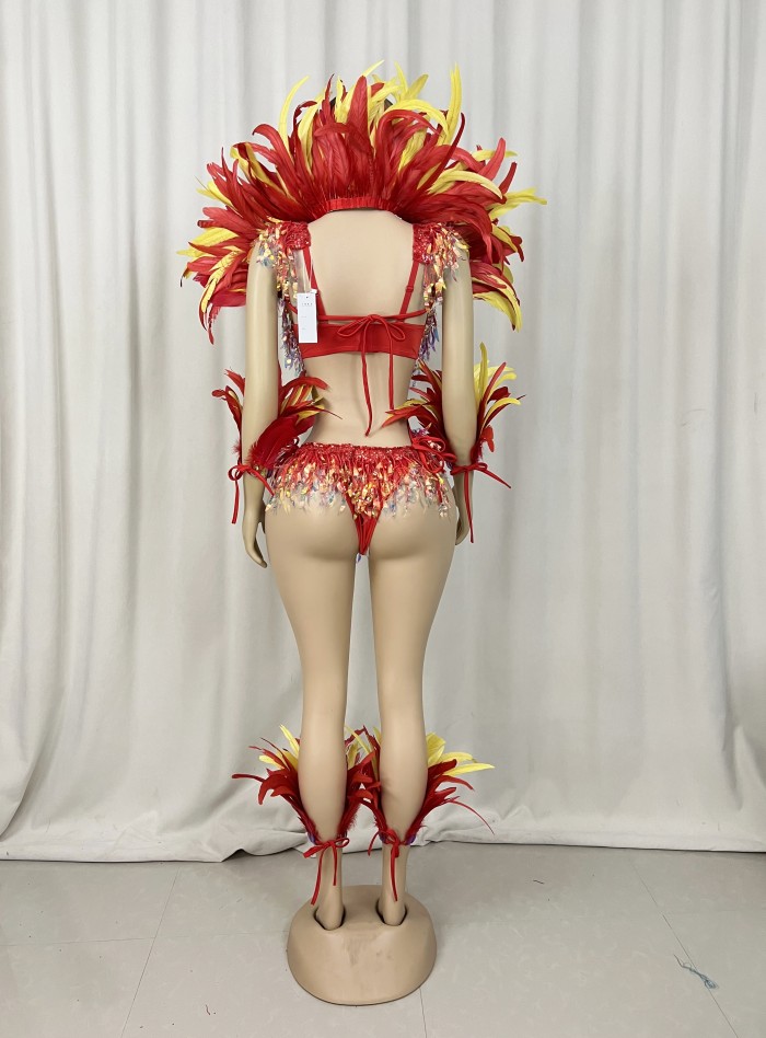 Samba Carnival  Bra And Panty With Feather Hand Beads Passista Pageant Cabaret Broadway Theater Mrdi Gras,Vegas Showgirl CF052