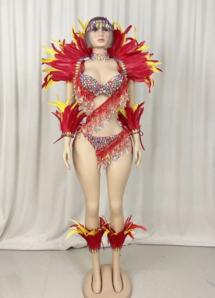 Samba Carnival  Bra And Panty With Feather Hand Beads Passista Pageant Cabaret Broadway Theater Mrdi Gras,Vegas Showgirl CF052