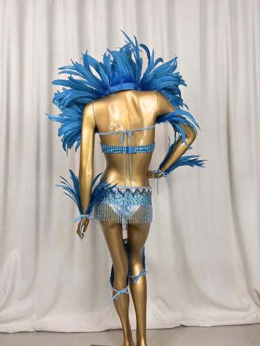 Hot sale Women's beaded Crystal belly dance costume wear sexy bellydancing costumes bellydance clothes with feather