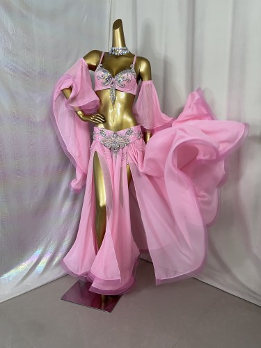 New Style Samba Carnival Handmade Belly Dance Costumes Pink Color Performance Costumes Bra Belt Skirt With Arm Sleeves 5 Piece/Set