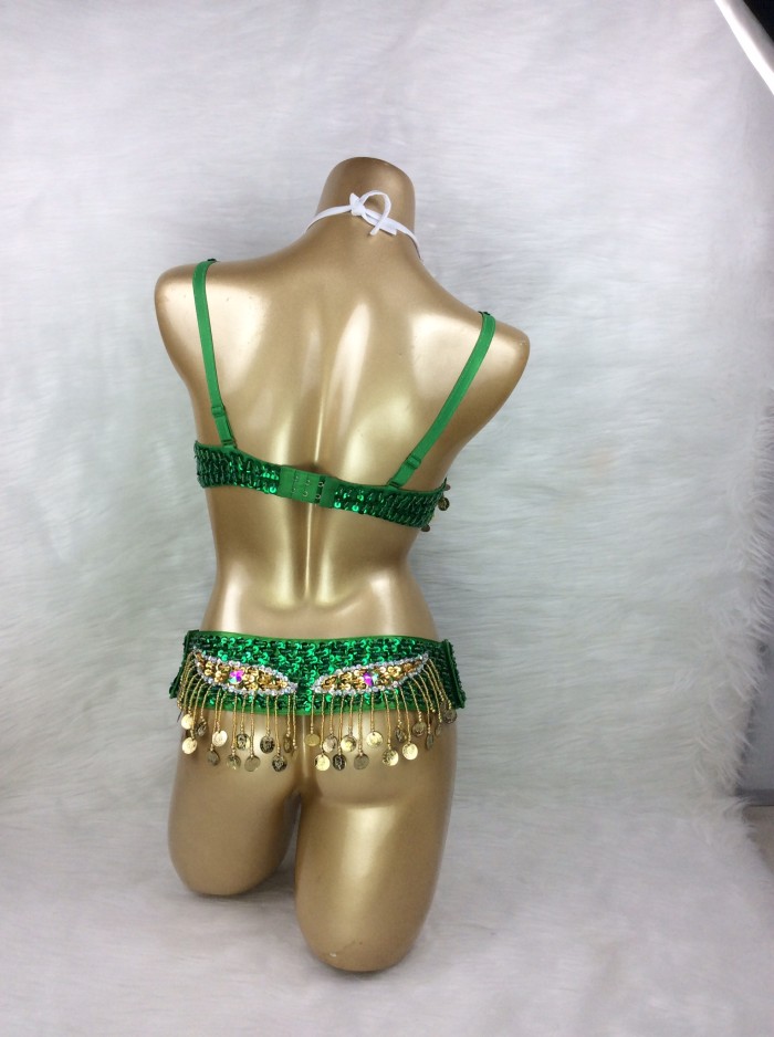 Free Shipping Hand Beaded Belly Dance Samba Costumes  Bra and Belt 2pcs TF246