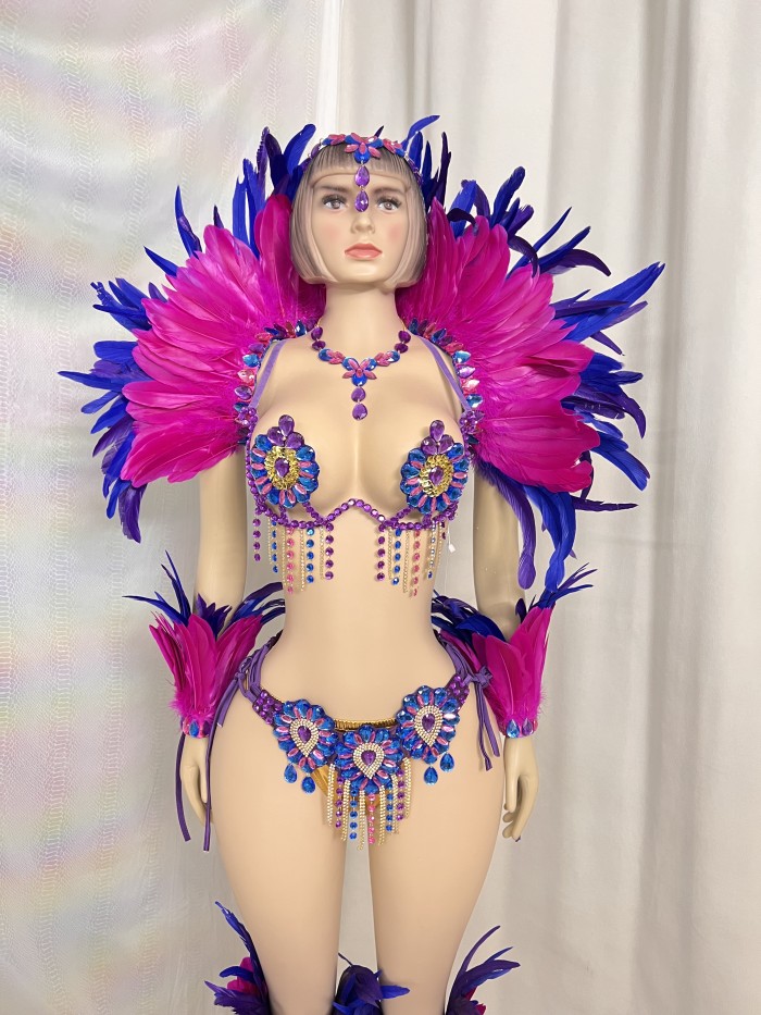 Top Quality Handmade Samba Rio Carnival Wire Bra+Belt+feather shawl With Stone Sexy Belly Dancing Costume