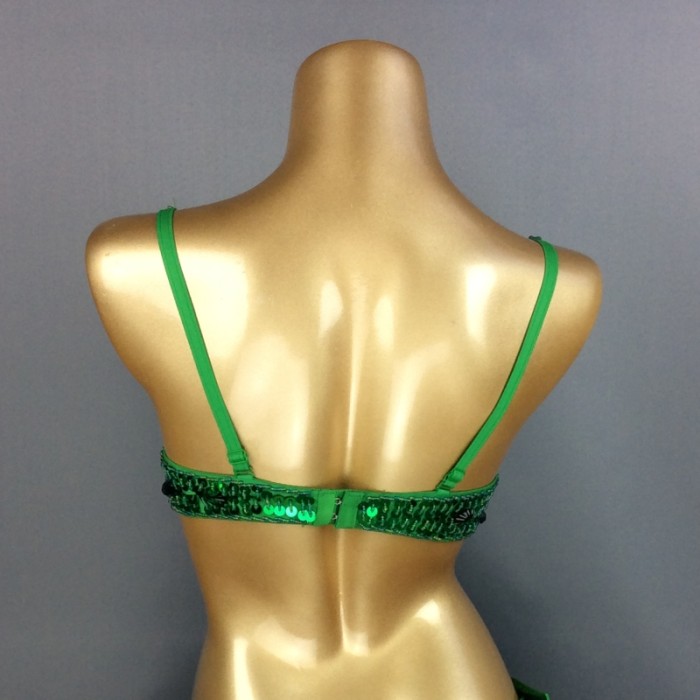 Women's belly dance costumes beads bra belly dancing clothes Bellydance Bead Sequins tops BAR1359