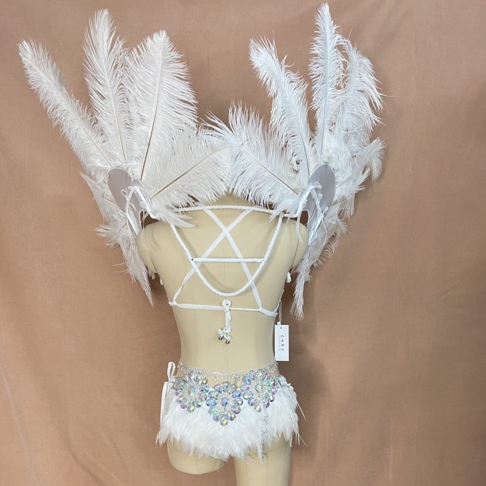New Style Samba Carnival Rave Outfit Wire Bra,Belt And Feather Backpack For EDC Festival