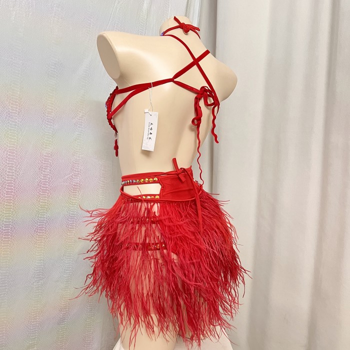 New Style Handmade Samba Carnival Wire Bra,Pants And Feather Mini Skirt With Stones For EDC Festival Rave Carnival Red Color