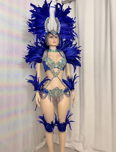 Hot sale Women's beaded Crystal belly dance costume wear sexy bellydancing costumes bellydance clothes with feather set