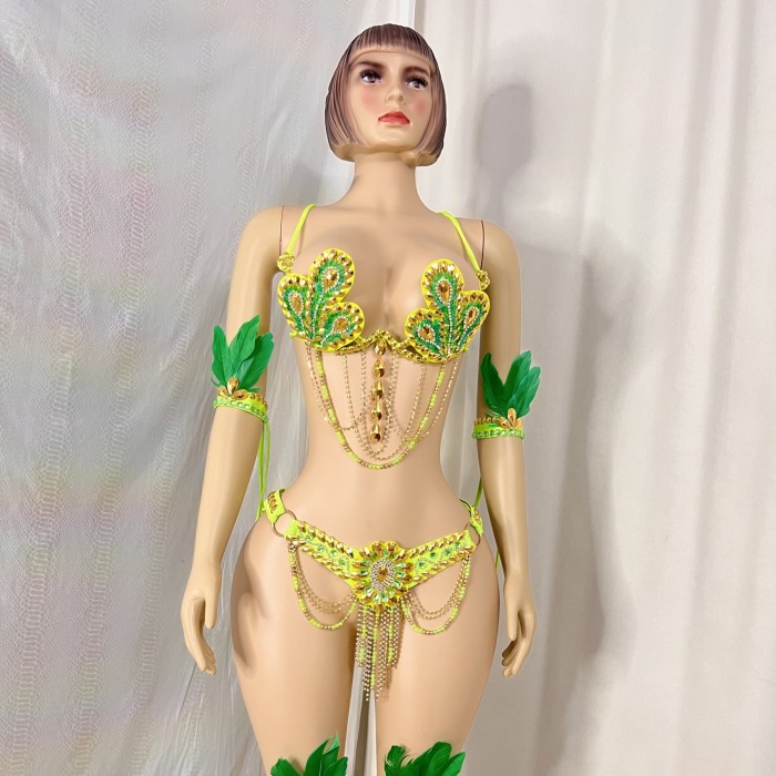 New Style Samba Carnival Costumes Handmade Wire Bra With Belt And Feather Arm,Leg For Rave Carnival