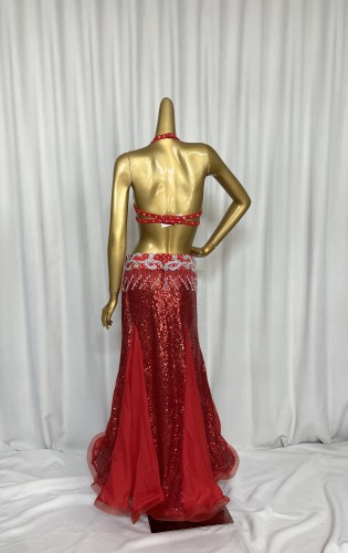 Hot Sale Professional Women belly dance costume wear for stage performance outfit 3piece suit Beaded carnival dancer costume set TF1909+SK1911