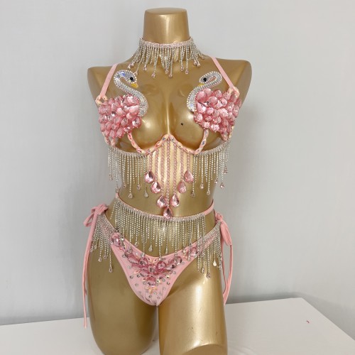 New Style Handmade Samba Carnival Wire Bra And Panty Swan Design Pink Costumes
