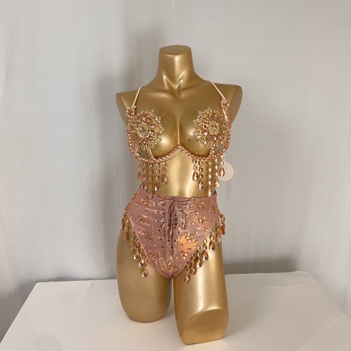 New Style Samba Carnival Handmade Costumes Wire Bra And Panty  For Rave BP043