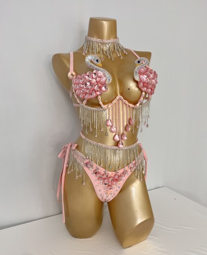 New Style Handmade Samba Carnival Wire Bra And Panty Swan Design Pink Costumes