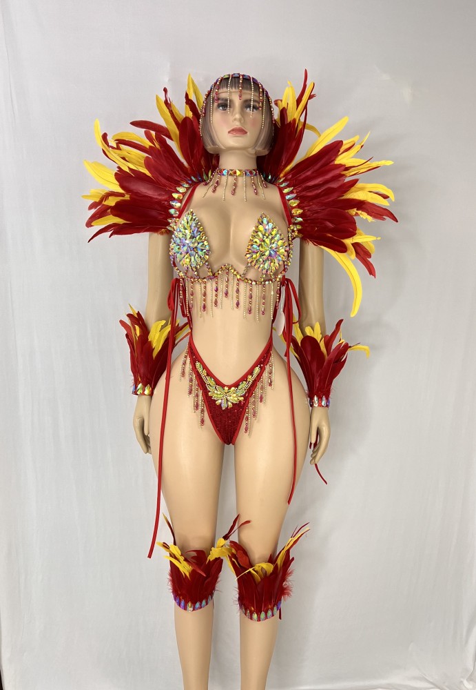 New Handmade Top Quality Samba Rio Carnival Wire Bra+Panty With Feather Sexy Belly Dancing Costume