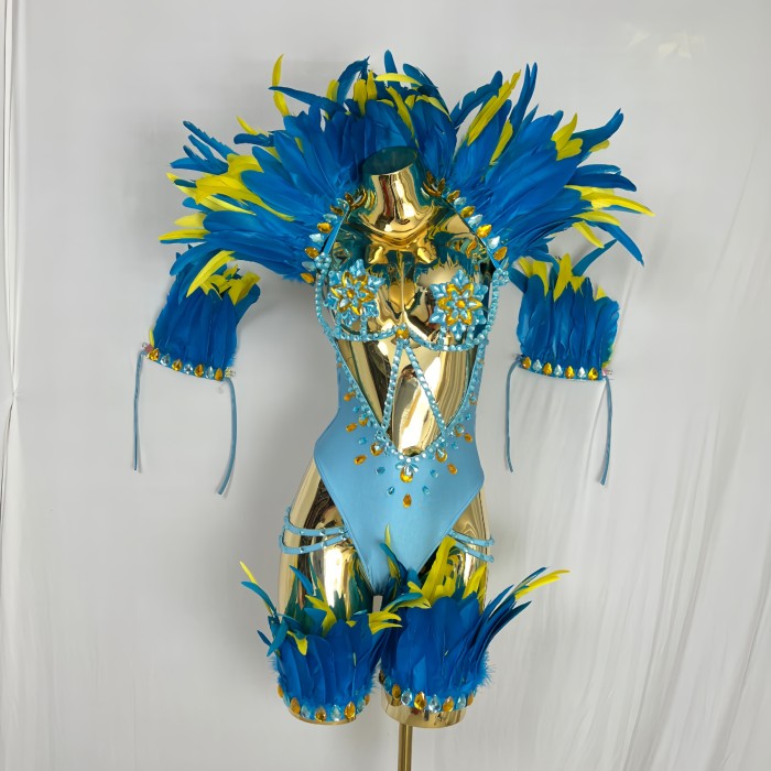 New Style Handmade Monokini Bodysuit Wire Bra With Thong With Feather Ser For Samba Carnival