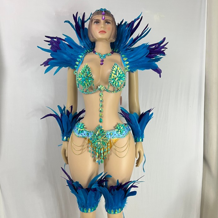 Samba Costumes Handmade Wire Bra And Belt With Feather Piece For Festival Costumes