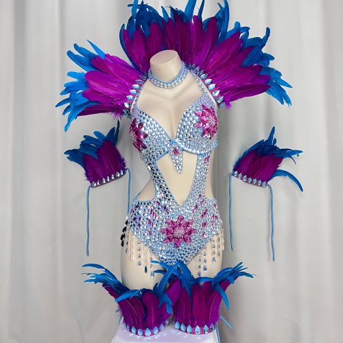 Sexy Samba Handmade Showgirl Costumes With Feather For EDC Performance Costumes