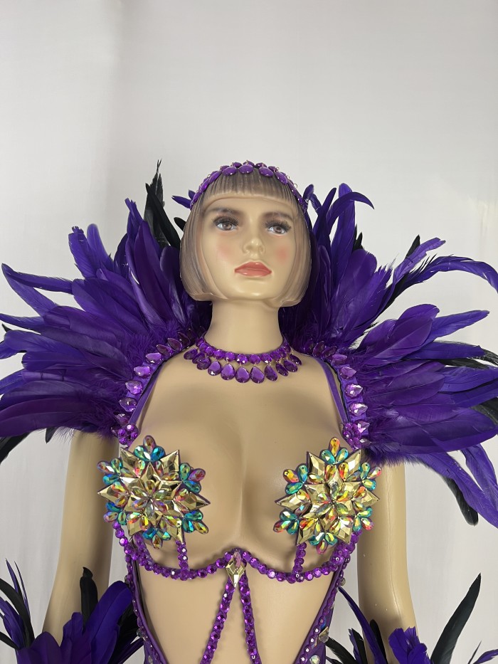 New Style Handmade Monokini Bodysuit Wire Bra With Thong With Feather Ser For Samba Carnival