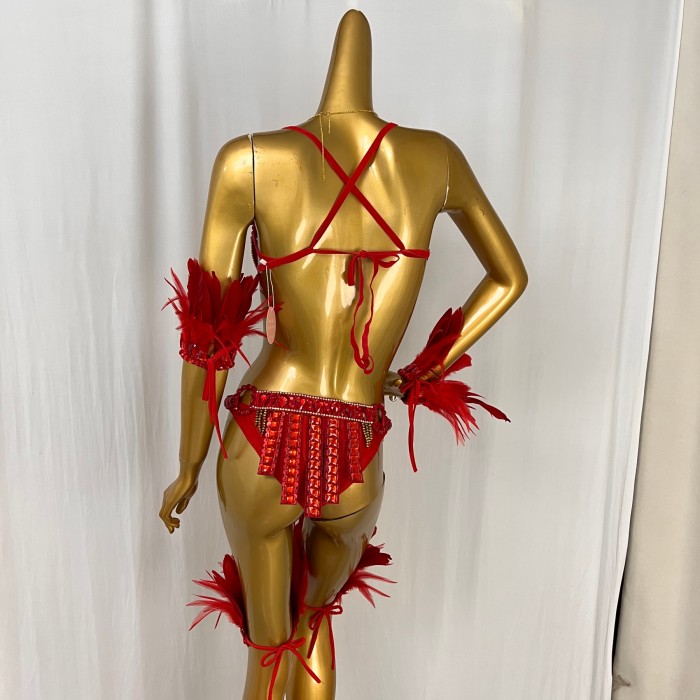 new design top grade Women belly dance Samba Carnivel RIO Crystal Bra Costume Outfit Showgirl dancer costume C017