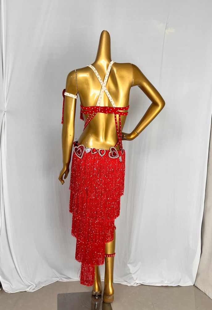 New Style Handmade Belly Dance Costumes Latin Dance Performance Costumes
