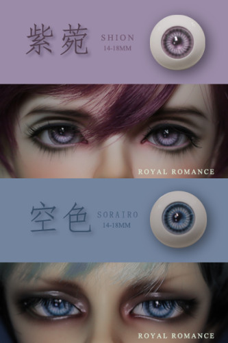 BJD Acrylic eye