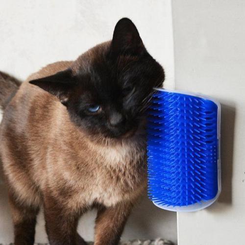 The Cat's Corner Massage Brush