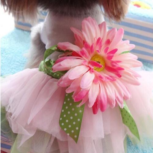 Dog Dress Sun-flower Pet Clothes