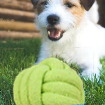 milo activation ball