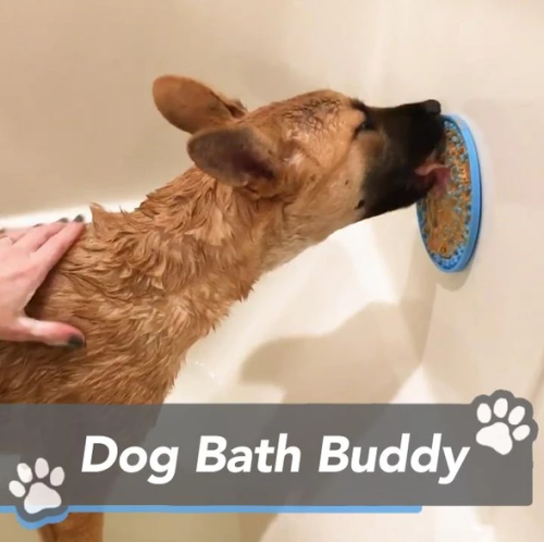 Dog Bath Buddy