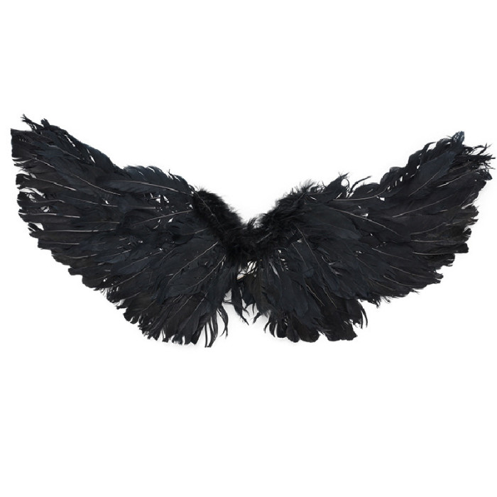 Halloween Devil and Angel Holiday Make-up Costume Feather Wings Pet Dress Up