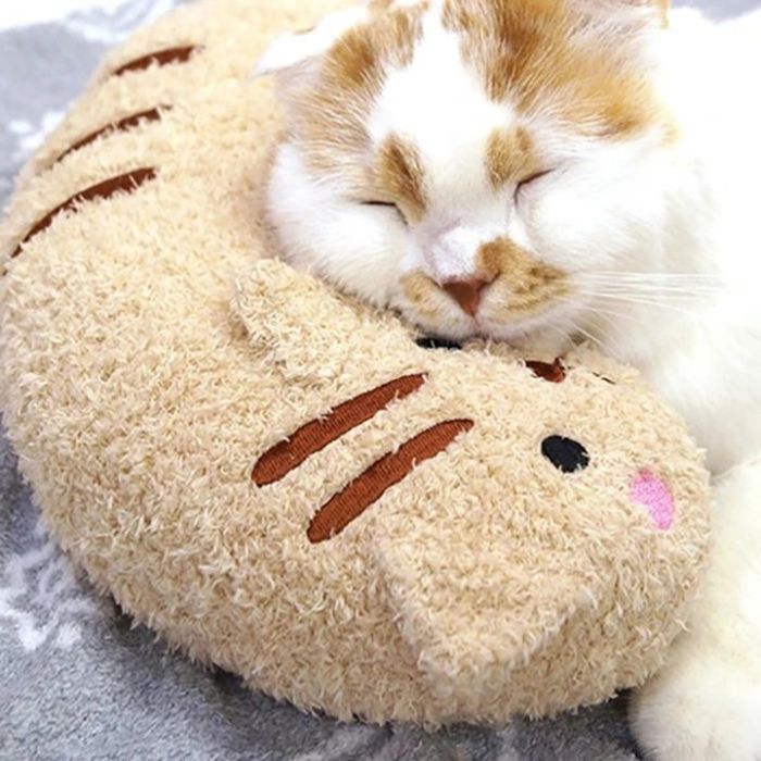 Cat Lovely Cozy Pillow