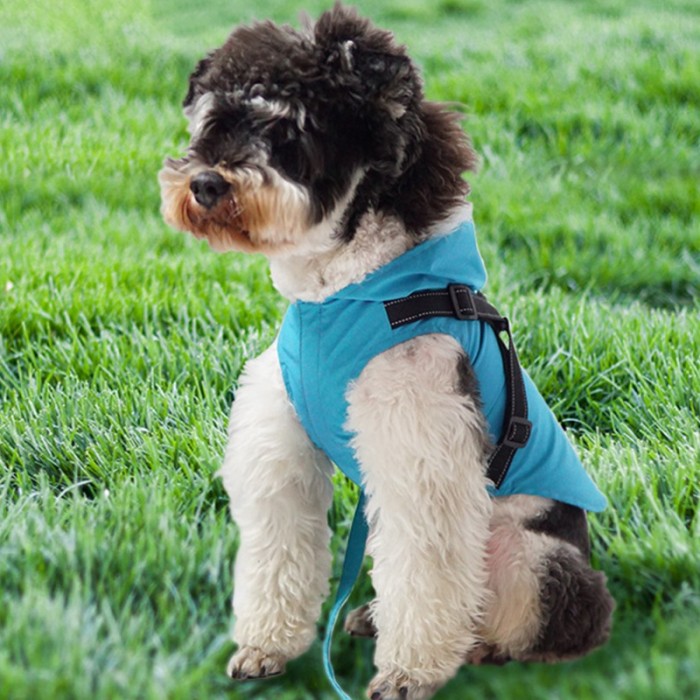 Pet Dog Waterproof Raincoat With Harness