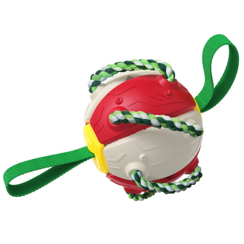 magic ball dog toy