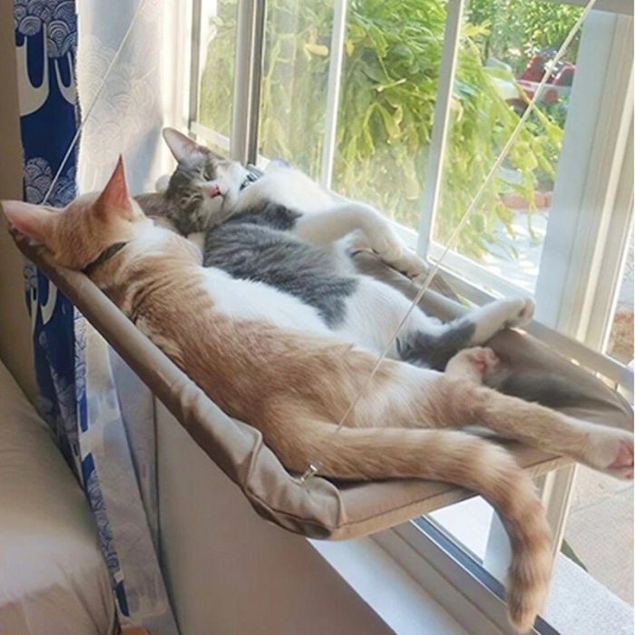 The Kitty Hammock