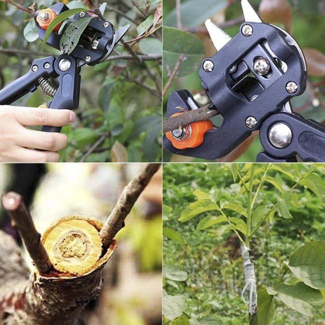 🎉Father's Day Pre-Sale 50% OFF - Garden Professional Grafting Cutting Tool