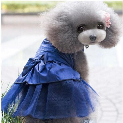 Fashion Wedding Dog Dress Dog Clothes