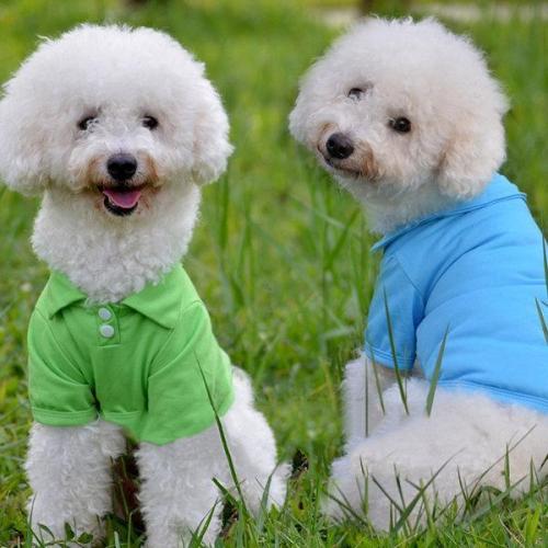 Small Puppy T-shirts Vest Pet Dog Clothes for Dogs