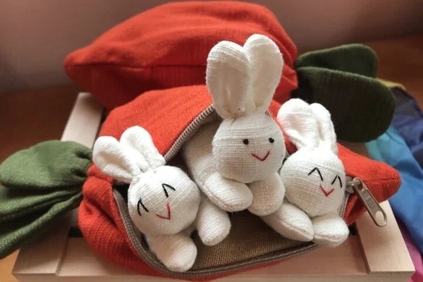 🥁  50% OFF🎁 Hide-and-Seek Bunnies in Carrot Pouch