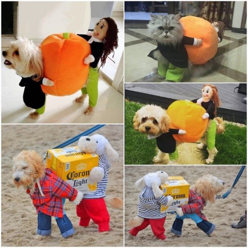 (🎃Early-Halloween Hot Sale) Dog Halloween Costumes