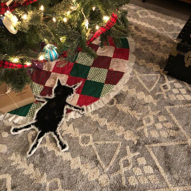 Fried Cat Rug - National Lampoon Cousin Eddie Griswold Fans Christmas Gift
