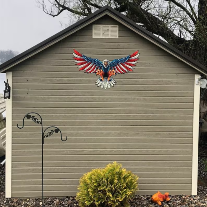 End of Year Promotion-49%OFF|United States BaldEagle With Flag