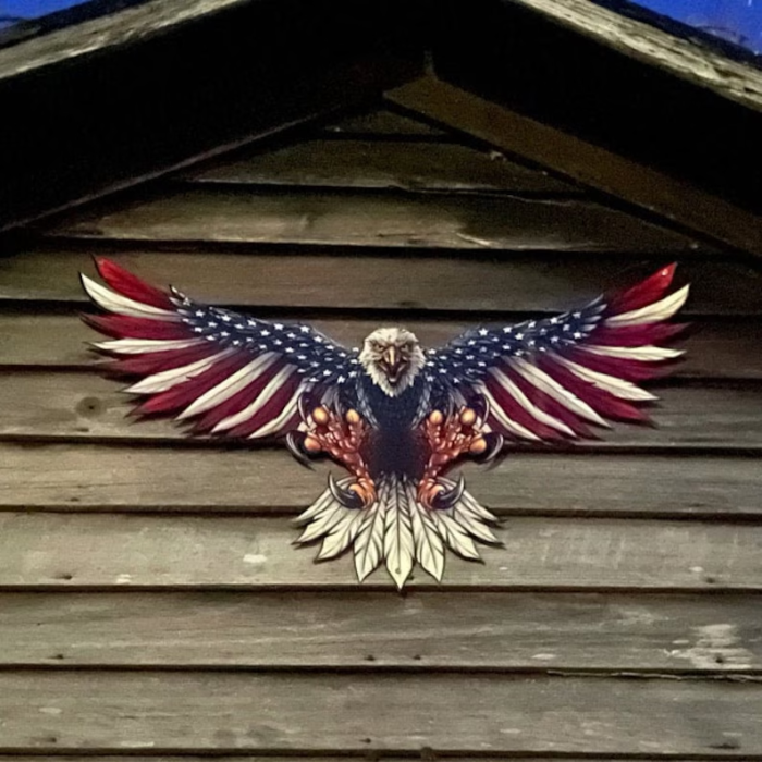 End of Year Promotion-49%OFF|United States BaldEagle With Flag