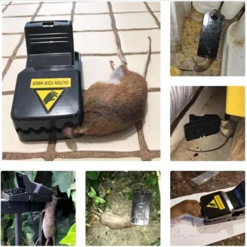 Highly Sensitive Reusable Mouse Trap - BUY 5 GET 3 FREE