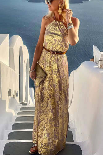 Diane Gold Leopard Print Halter Maxi Dress