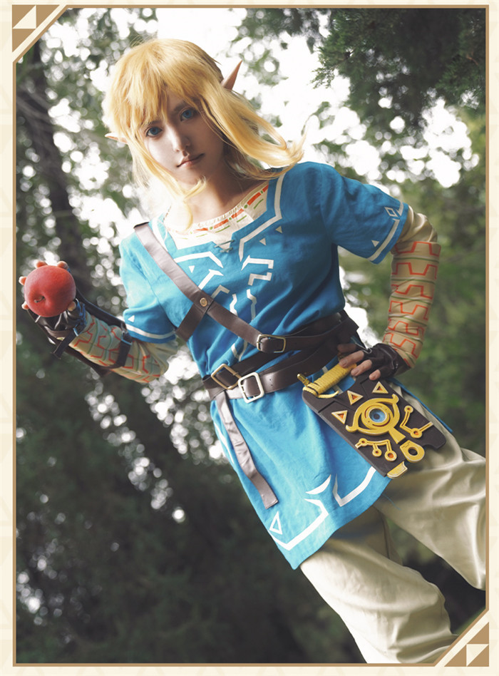 The Legend of Zelda Breath of the Wild Link Cosplay Costume