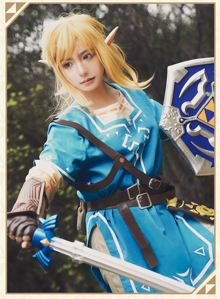 The Legend of Zelda Breath of the Wild Link Cosplay Costume